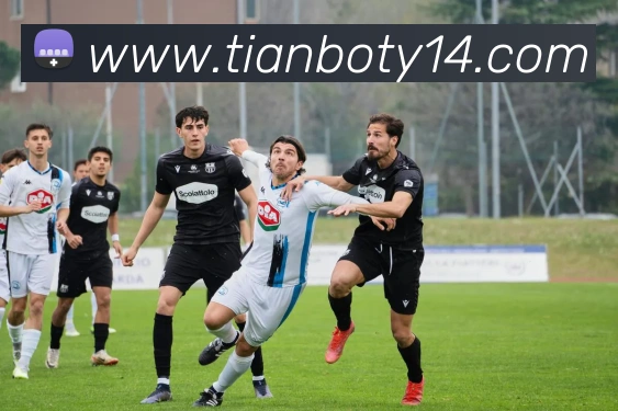 赛事专题整合
